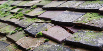 Bowring Park roof repair costs